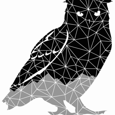 Geo Owl Thumbnail