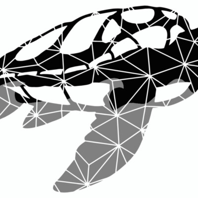 Geo Turtle Thumbnail