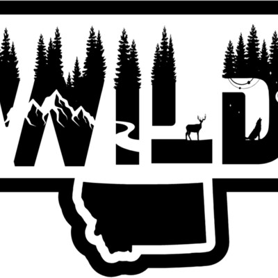 Wild State Thumbnail