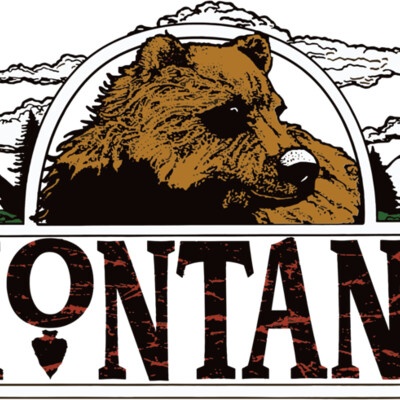 Montana Framed Bear Thumbnail